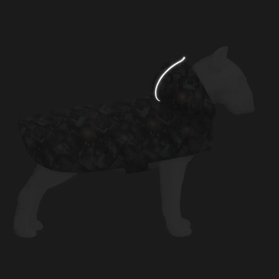 Дощовик-накидка з капюшоном для собак «Нескінченні світи», L WAUDOG Clothes Dog Raincoat Endless Worlds