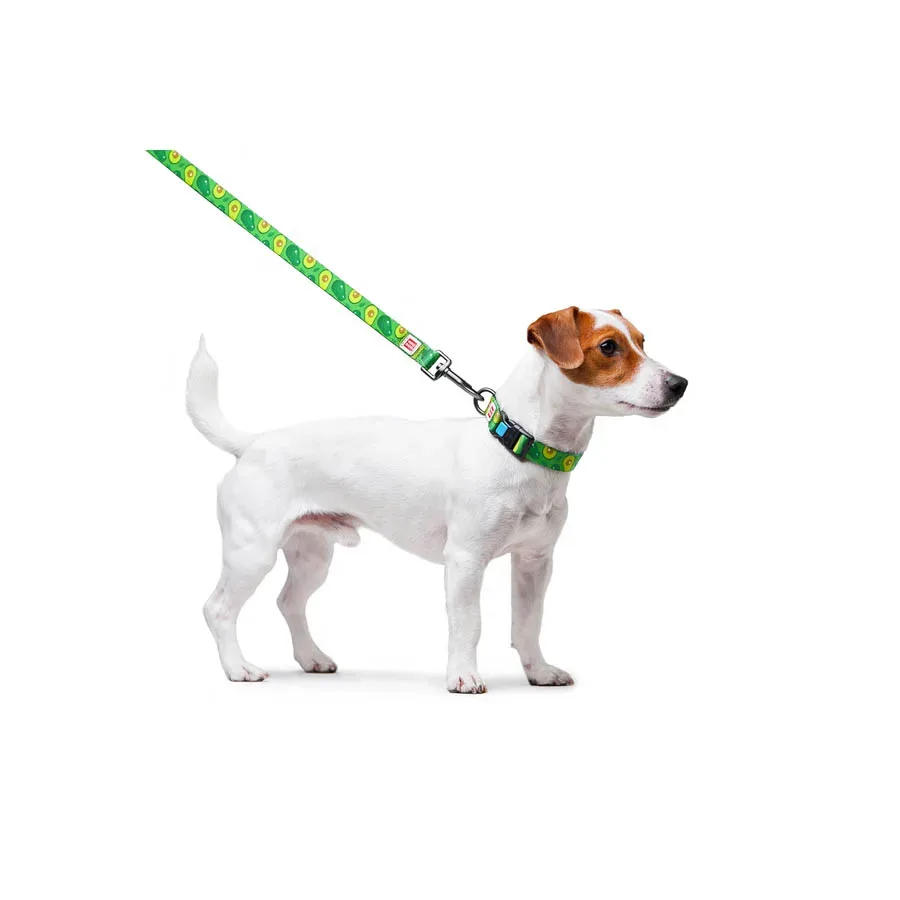 Поводок для собак нейлоновый «Авокадо», M WAUDOG Nylon Leash Avocado