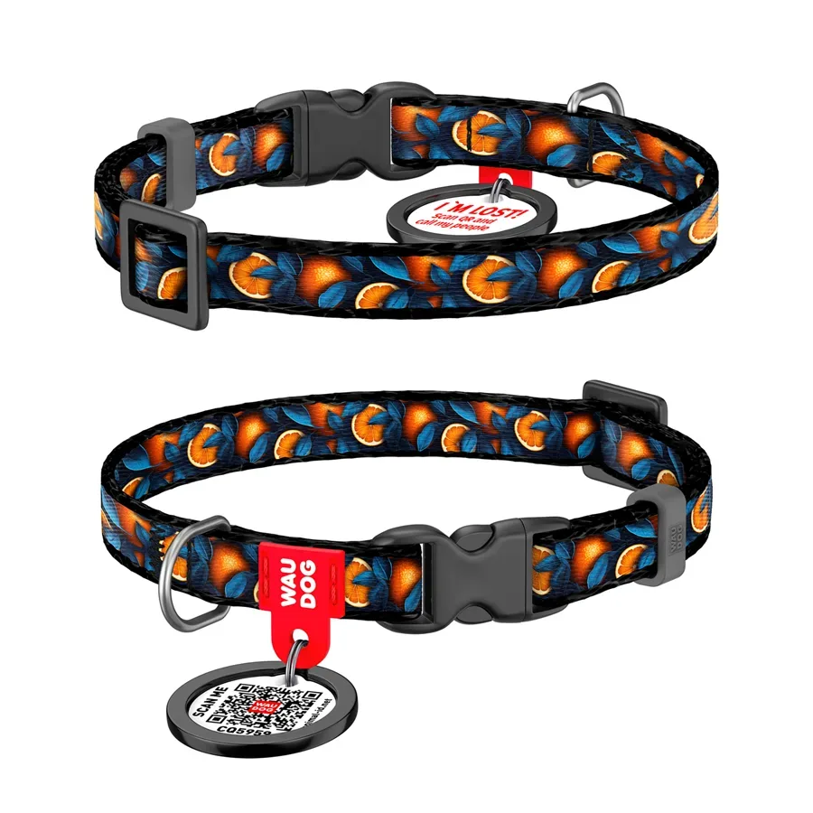 Нашийник для котів та дрібних порід собак нейлоновий «Апельсини», XS WAUDOG Nylon Collar Oranges