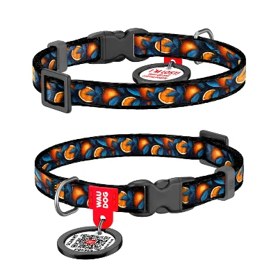Нашийник для котів та дрібних порід собак нейлоновий «Апельсини», XS WAUDOG Nylon Collar Oranges