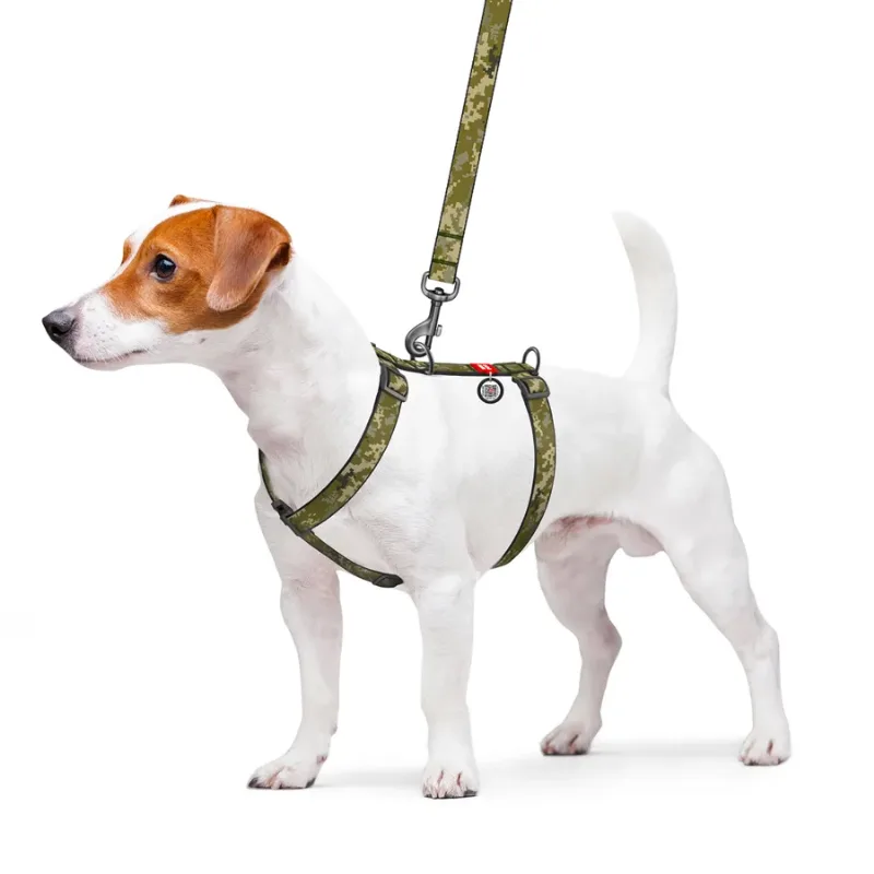 Шлея для собак анатомічна H-подібна «Мілітарі», S WAUDOG Nylon Anatomic Harness Military