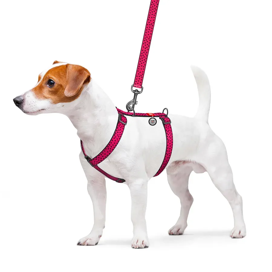 Шлея для собак анатомічна H-подібна «Кавун», L WAUDOG Nylon Anatomic Harness Watermelon