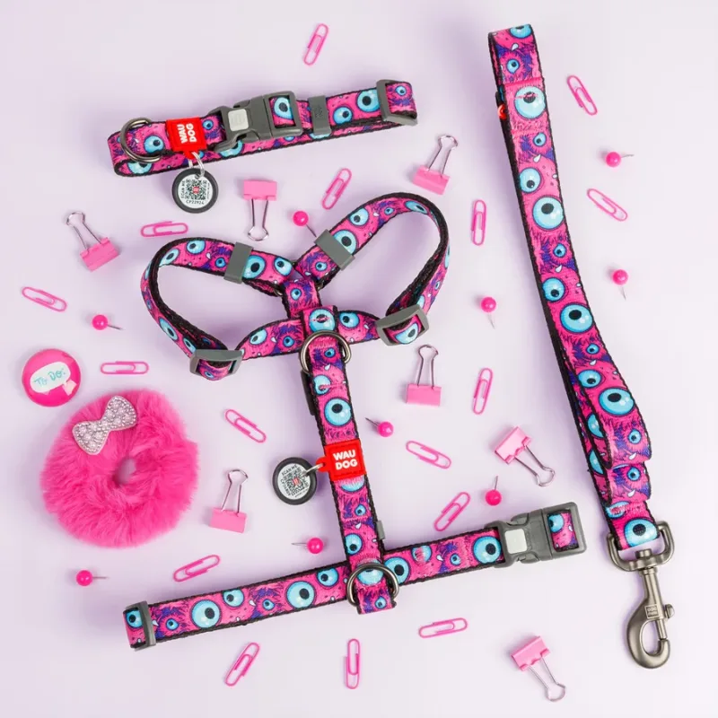 Нашийник для собак нейлоновий «Око монстра», XXL WAUDOG Nylon Collar Monster Eye