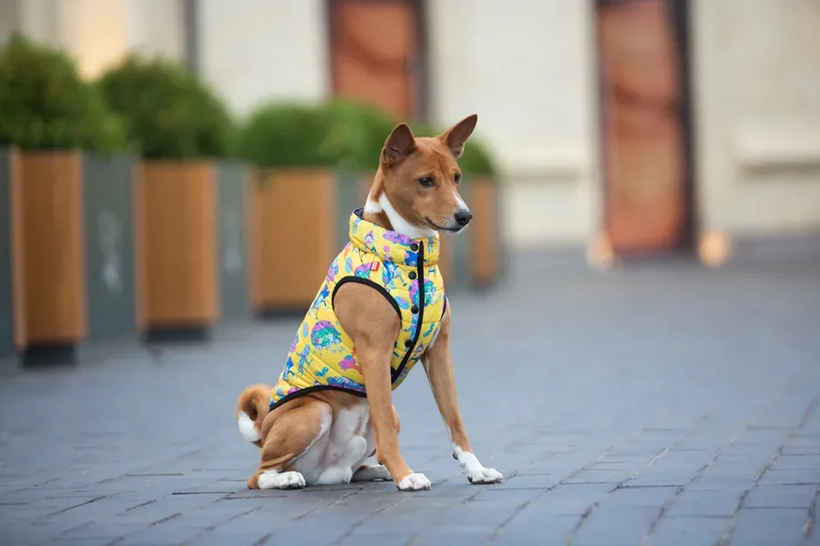 Курточка для собак «Рік та Морті 3», L65 WAUDOG Clothes Dog Jacket Rick and Morty 3