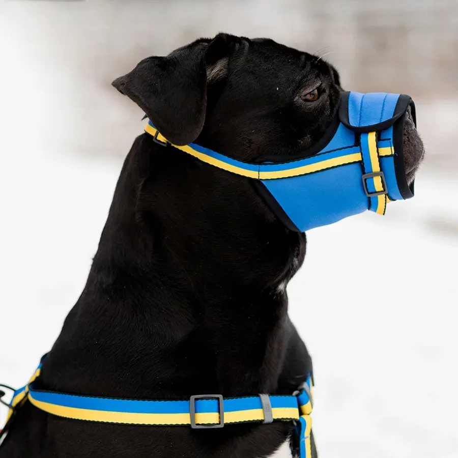 Намордник для собак, О 35-43 см «Colors of freedom», XL WAUDOG Nylon Muzzle Colors of Freedom