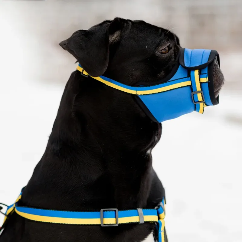 Намордник для собак, О 35-43 см «Colors of freedom», XL WAUDOG Nylon Muzzle Colors of Freedom