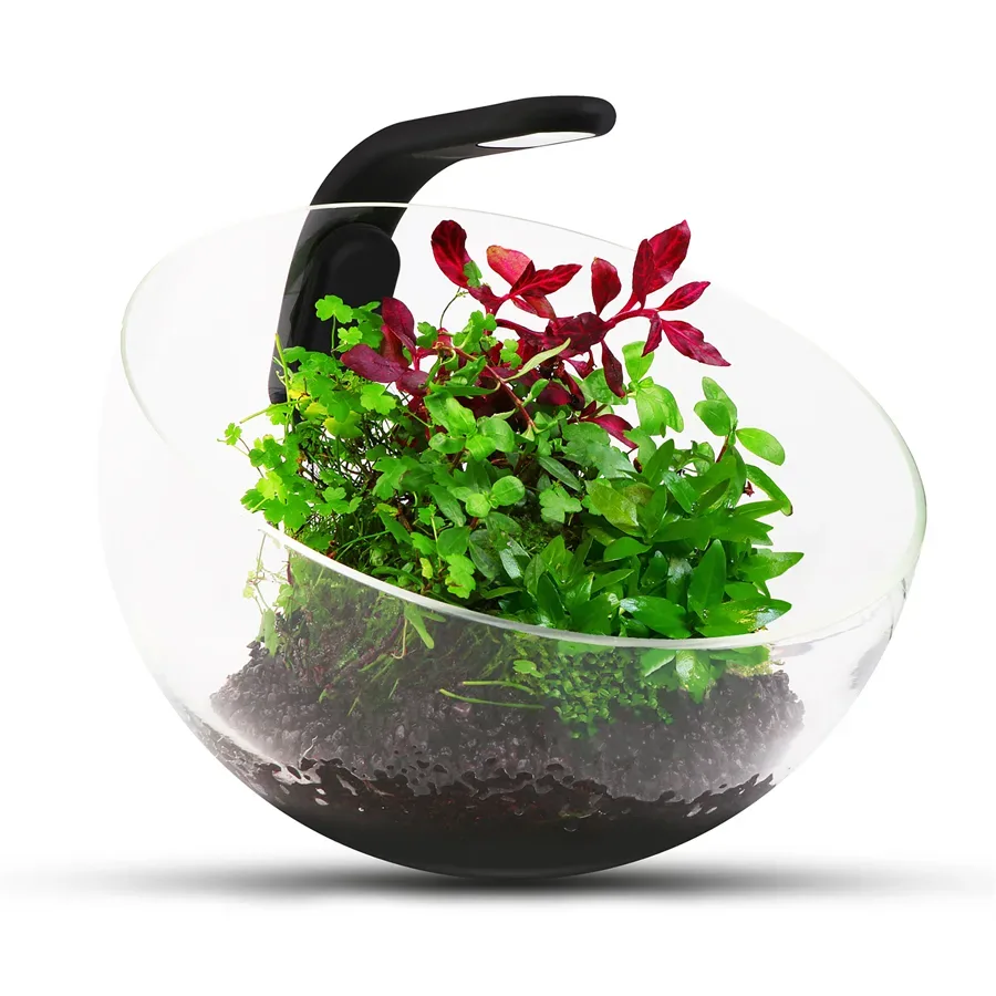 Декоративний акваріумний набір Wabi Set AquaLighter WabiSet Florarium Kit