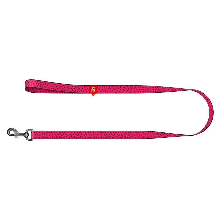 Поводок для собак нейлоновый «Арбуз», M WAUDOG Nylon Leash Watermelon