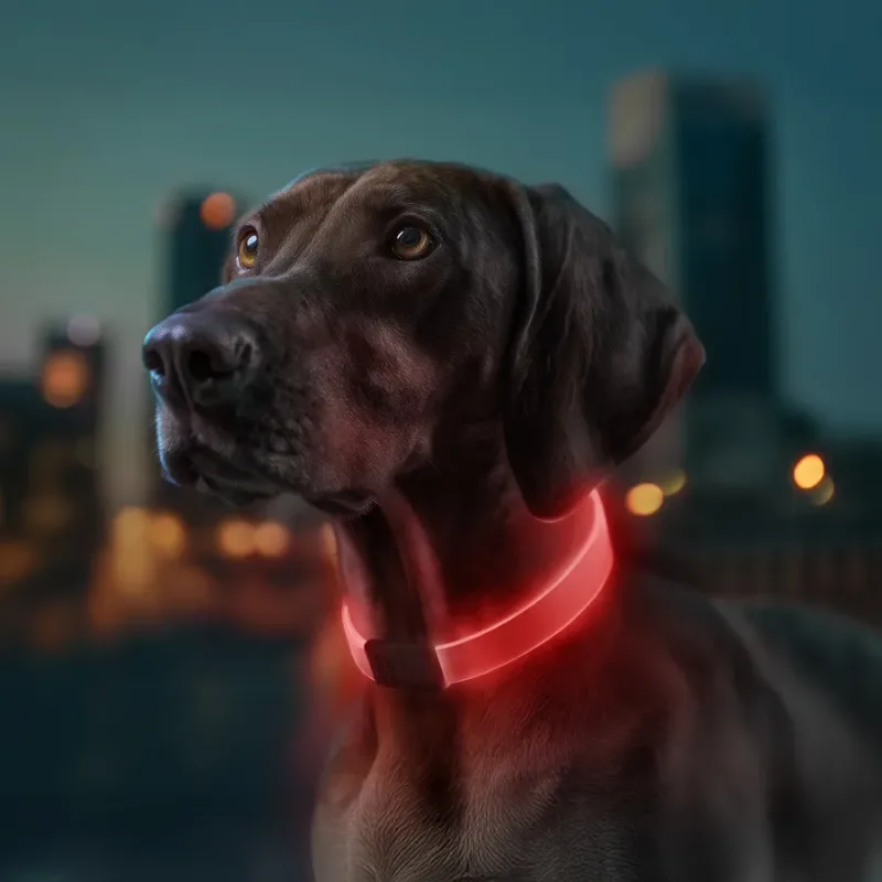 Ошейник для собак с подсветкой, RGB, Type-C, регулируемый WAUDOG LED Collar