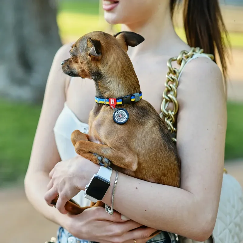 Нашийник для собак нейлоновий «Colors of freedom», XS WAUDOG Nylon Collar Colors of Freedom