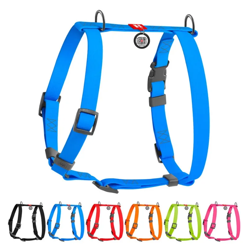 Шлея для собак водостійка анатомічна Н-подібна, L, блакитний WAUDOG Waterproof Anatomic Harness