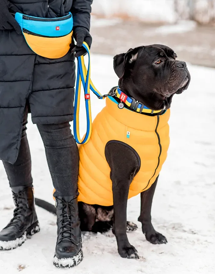 Поводок для собак нейлоновый «Colors of freedom», L-XXL WAUDOG Nylon Leash Colors of Freedom
