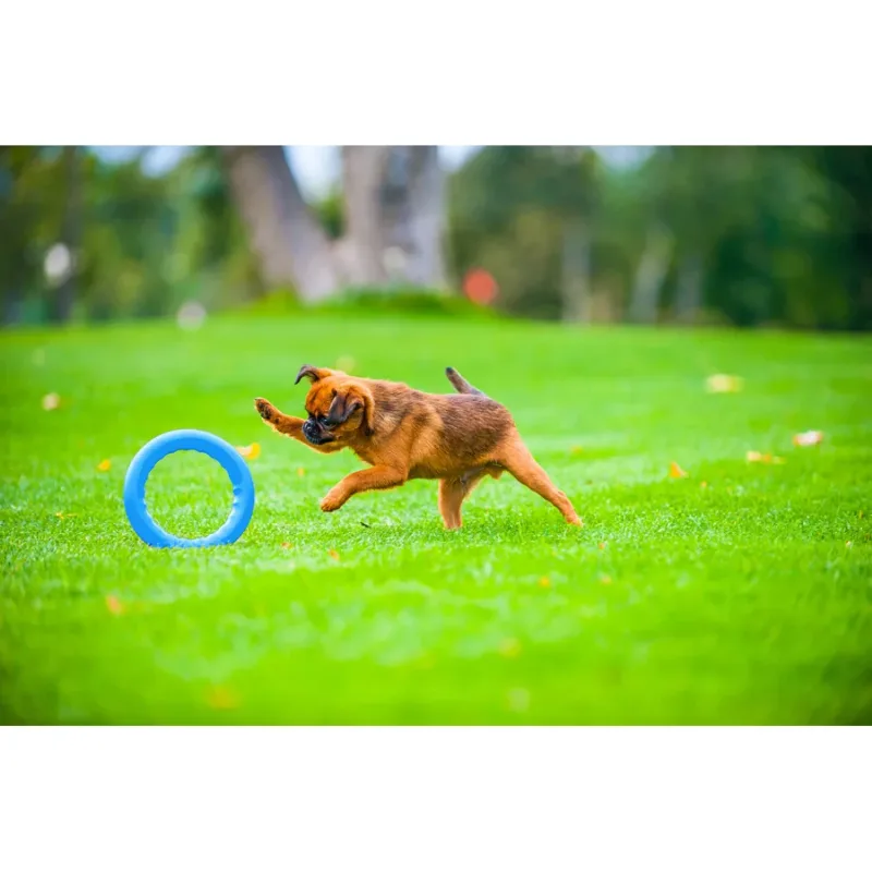 Кільце для апортировки 20, блакитний PitchDog Fetch Ring