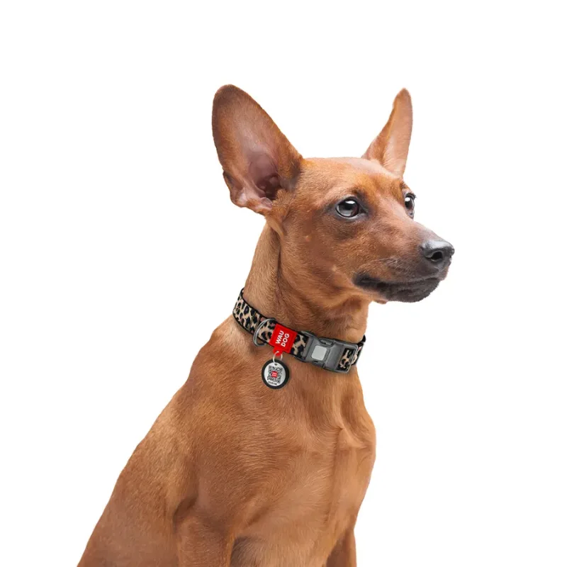 Нашийник для собак нейлоновий «Леопард», L WAUDOG Nylon Collar Leopard