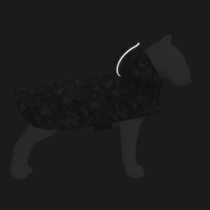 Дощовик-накидка з капюшоном для собак «Нескінченні світи», XS WAUDOG Clothes Dog Raincoat Endless Worlds