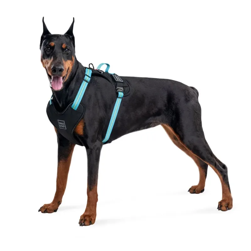 Шлея для собак безопасная, XL, голубой WAUDOG Nylon Harness