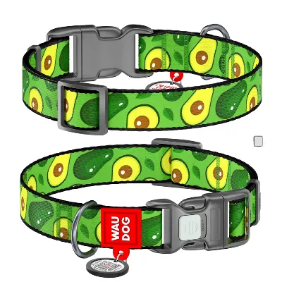 Нашийник для собак нейлоновий «Авокадо», пластикова пряжка, L WAUDOG Nylon Collar Avocado