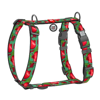 Шлея для собак анатомічна H-подібна «Гранати», L WAUDOG Nylon Anatomic Harness Pomegranates