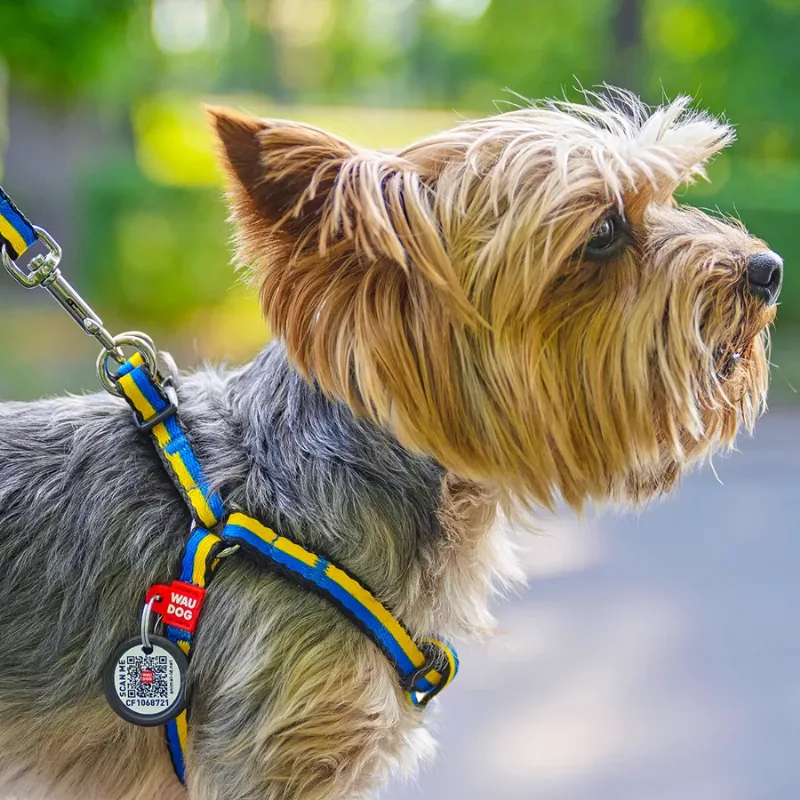 Шлея для котов и мелких пород собак «Colors of freedom», XS WAUDOG Nylon Harness Colors of Freedom