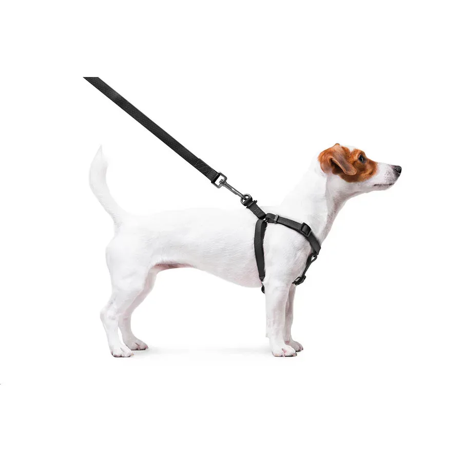 Шлея для собак водостойкая, S, черный WAUDOG Waterproof Harness
