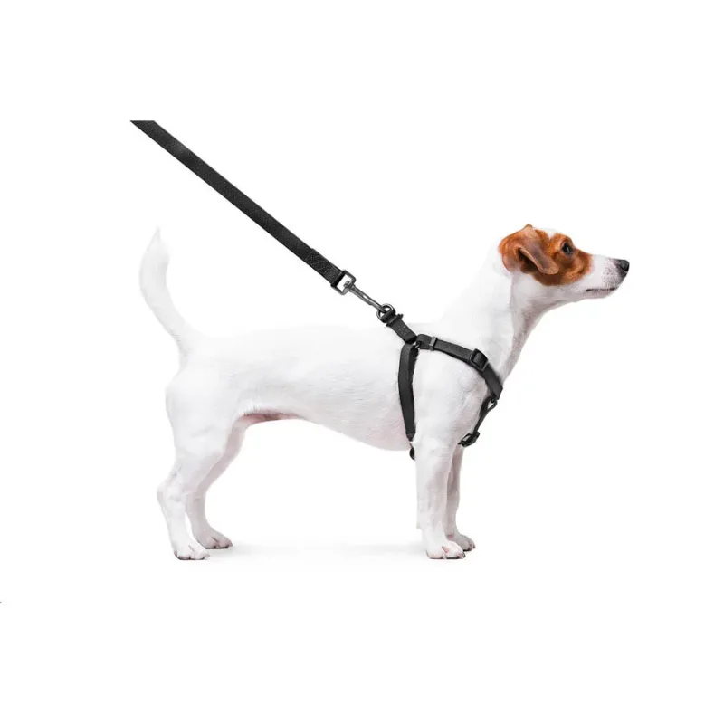 Шлея для собак водостойкая, S, черный WAUDOG Waterproof Harness