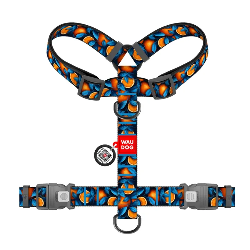 Шлея для собак анатомічна H-подібна «Апельсини», XL WAUDOG Nylon Anatomic Harness Oranges