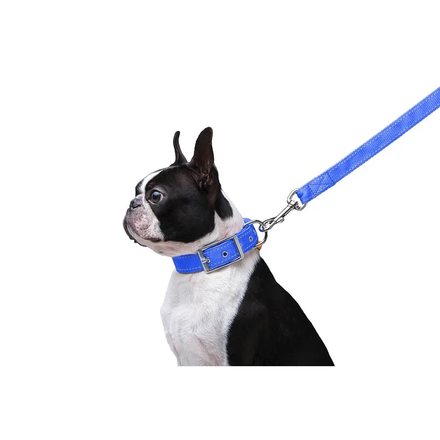 Повідець з нейлону подвійний, M, блакитний Dog Extreme Leash