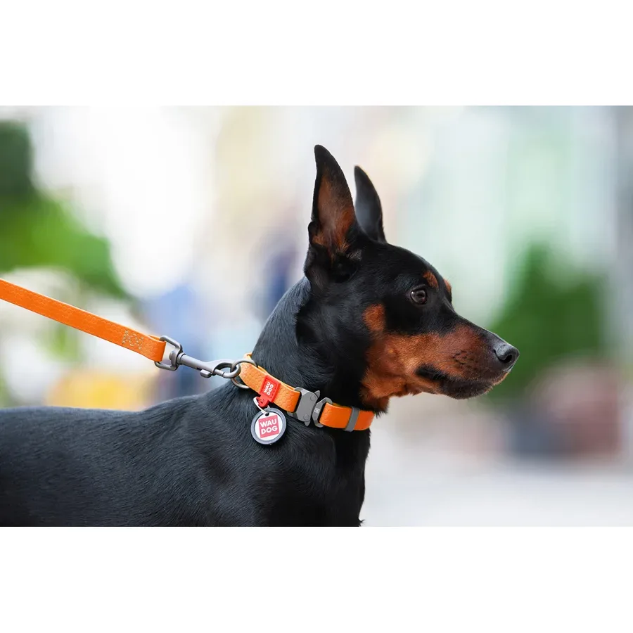 Нашийник для собак водостійкий, металева пряжка, XL, помаранчевий WAUDOG Waterproof Collar