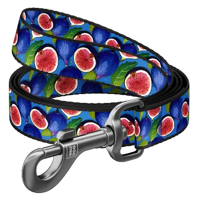Повідець для собак нейлоновий «Інжир», 15 мм × 200 см, S WAUDOG Nylon Leash Figs