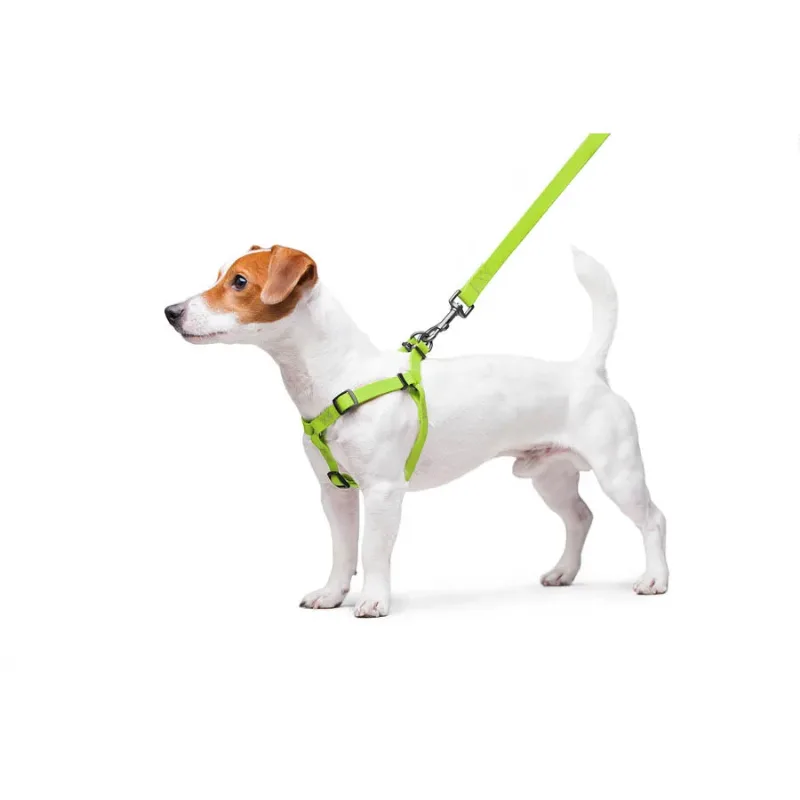 Шлея для собак водостойкая, S, салатовый WAUDOG Waterproof Harness
