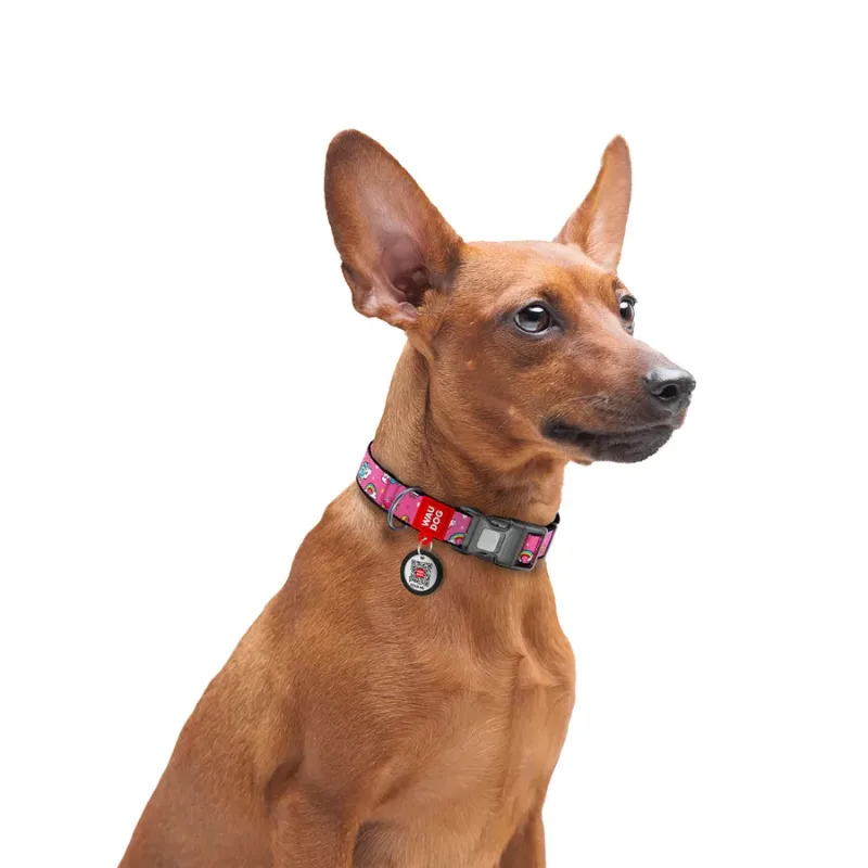Ошейник для собак нейлоновый «Единороги», S WAUDOG Nylon Collar Unicorns
