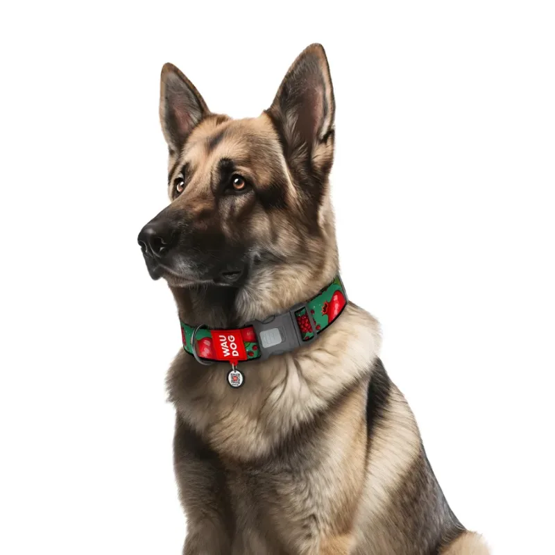 Нашийник для собак нейлоновий «Гранати», XXL WAUDOG Nylon Collar Pomegranates