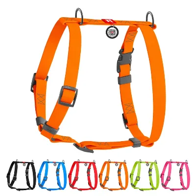 Шлея для собак водостійка анатомічна Н-подібна, S, помаранчевий WAUDOG Waterproof Anatomic Harness