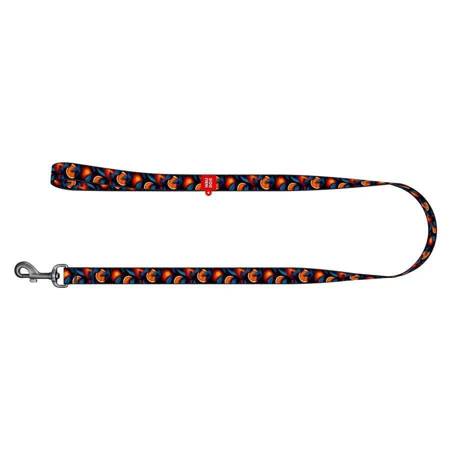 Повідець для собак нейлоновий «Апельсини», 20 мм × 300 см, M WAUDOG Nylon Leash Oranges