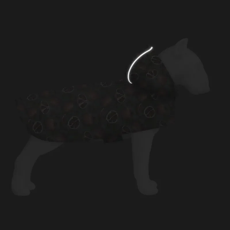 Дождевик-накидка с капюшоном для собак «Гранаты», XXS WAUDOG Clothes Dog Raincoat Pomegranates