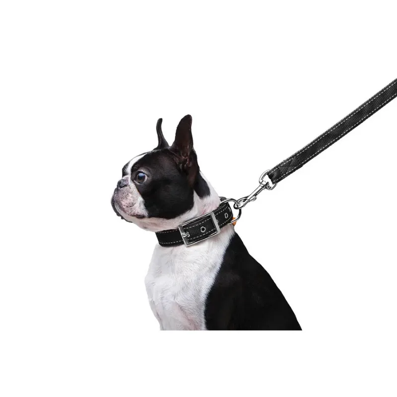 Повідець з нейлону подвійний, M, чорний Dog Extreme Leash