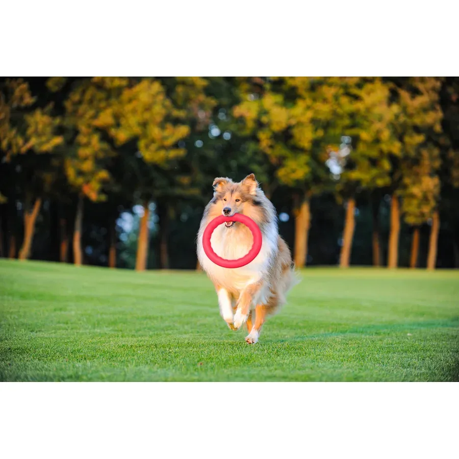 Кільце для апортировки 30, рожевий PitchDog Fetch Ring