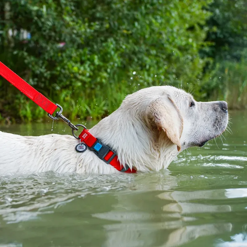 Нашийник для собак водостійкий, пластикова пряжка, XL, червоний WAUDOG Waterproof Collar