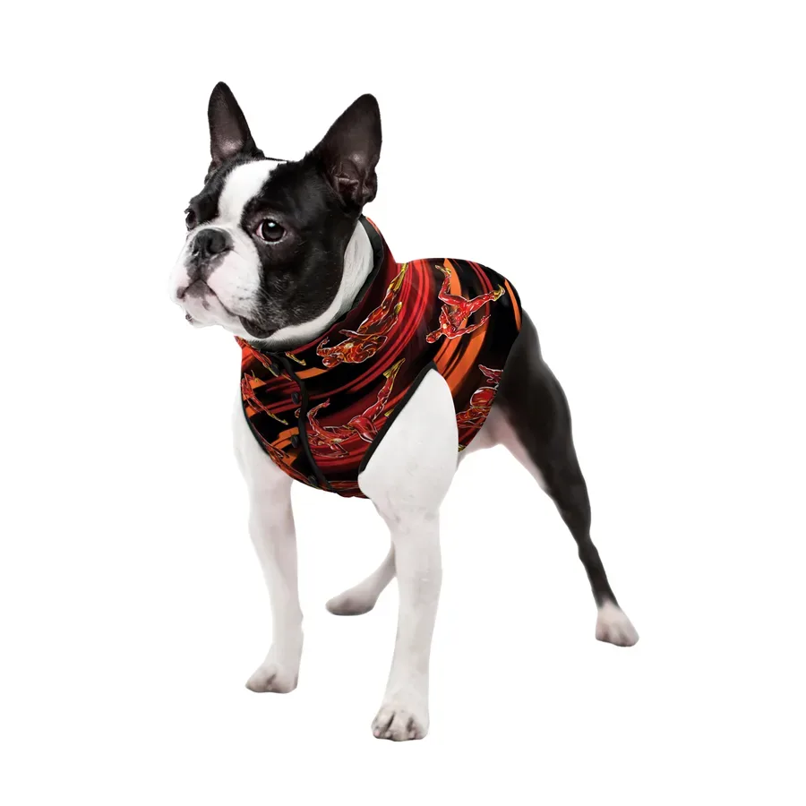 Курточка для собак двостороння «Швидкість Флеша», XS22 WAUDOG Clothes Dog Jacket Flash Speed