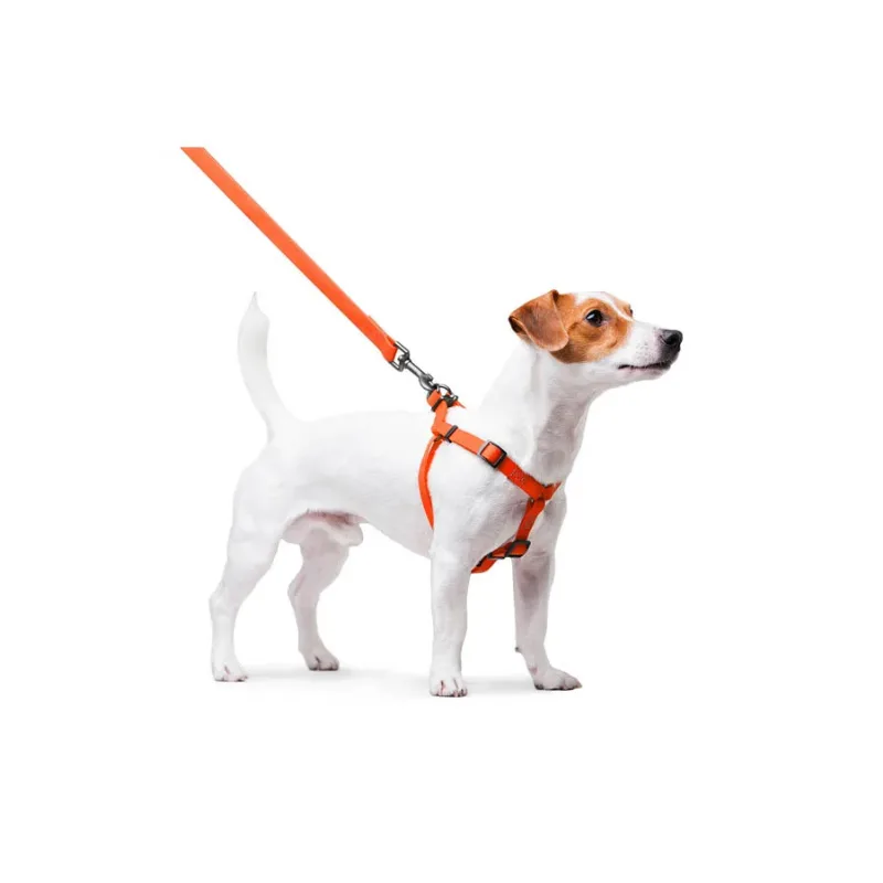 Шлея для собак водостійка, S, помаранчевий WAUDOG Waterproof Harness