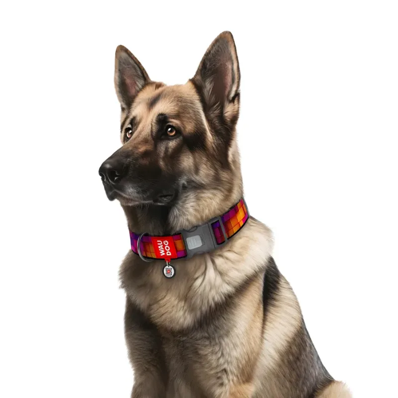 Нашийник для собак нейлоновий «Куби 3Д», XXL WAUDOG Nylon Collar 3D Cubes