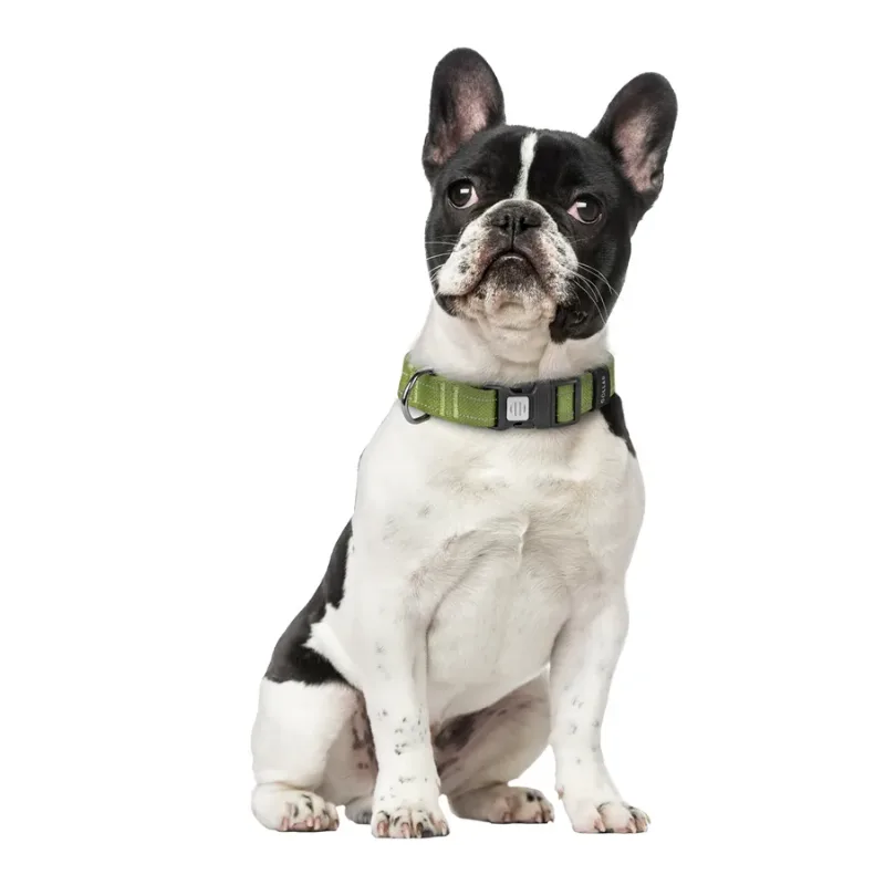 Ошейник для собак х/б тесьма Брезент, пластиковая пряжка, M Collar Canvas Collar