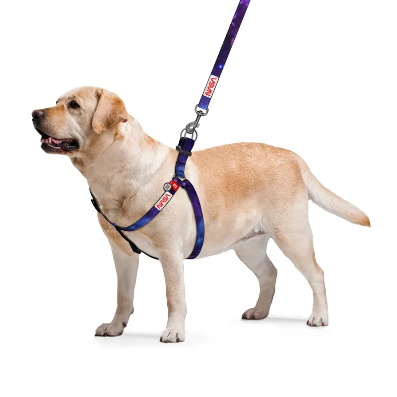 Шлея для собак «NASA21», S WAUDOG Nylon Harness NASA21