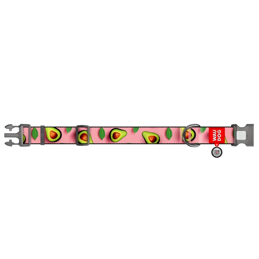 Ошейник для собак нейлоновый «Авокадо на розовом», XXL WAUDOG Nylon Collar Avocado on Pink