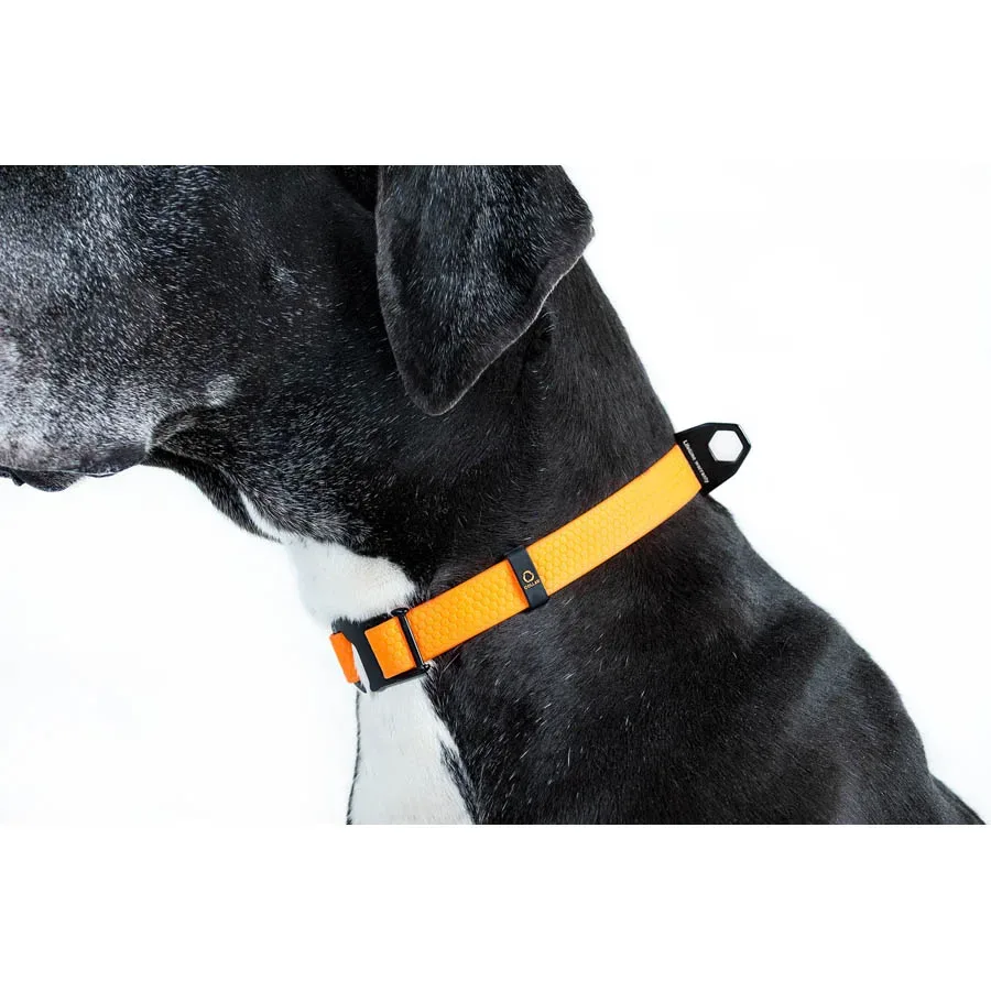 Нашийник, регульований, універсальний, S-XL, помаранчевий EVOLUTOR Collar
