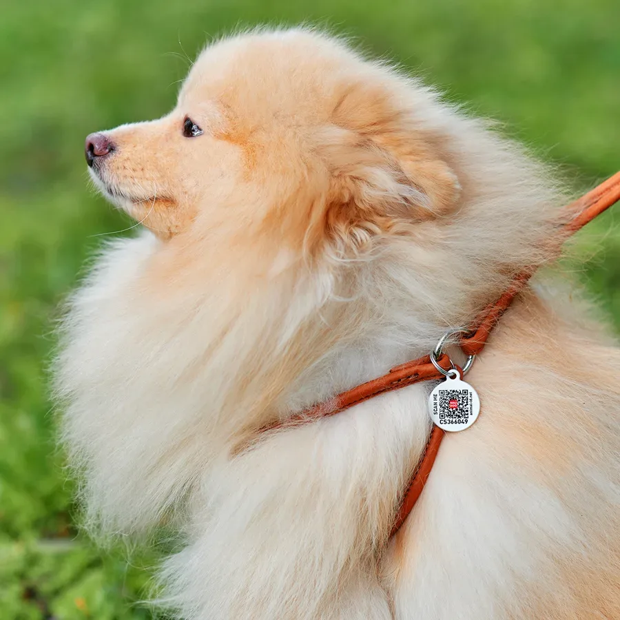 Шлея з повідцем для собак шкіряна, кругла, XS, коричневий WAUDOG Soft Harness with Leash