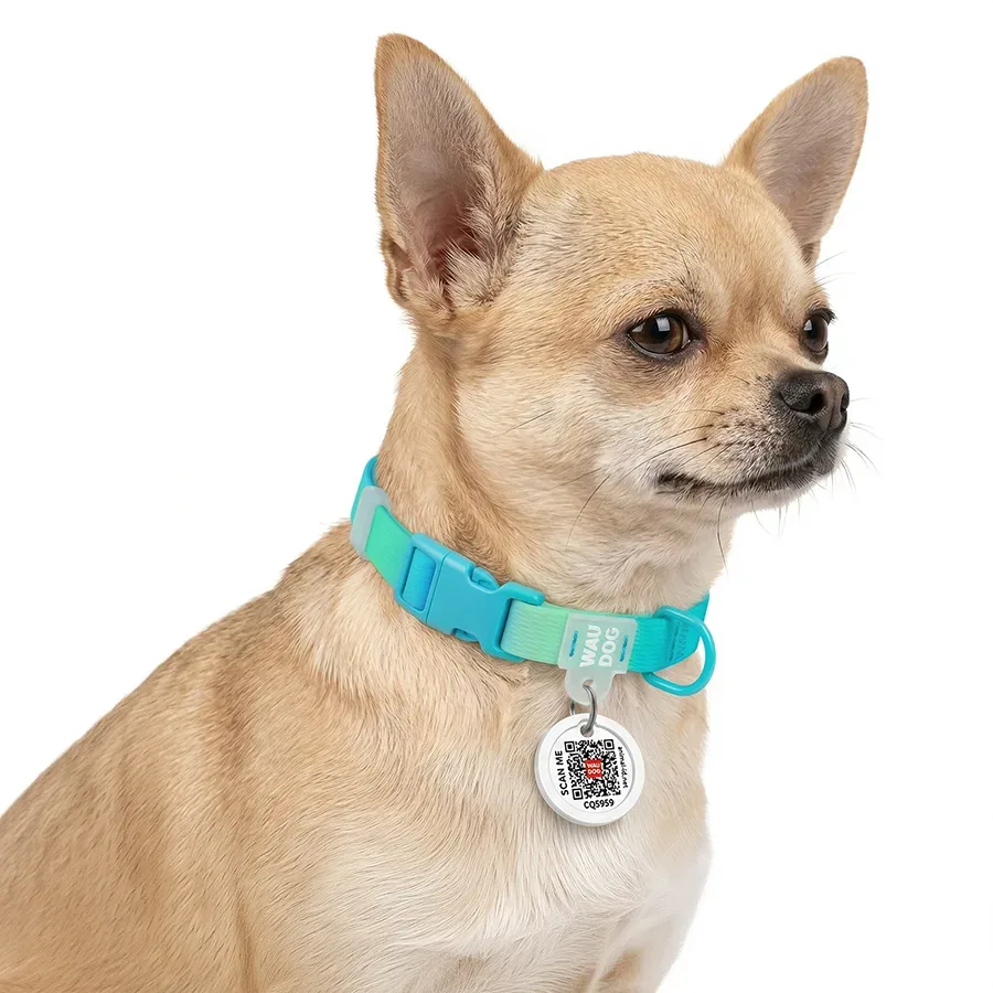 Нашийник для собак з нейлону з QR адресником, градієнт, XS, блакитний WAUDOG Nylon Recycled Collar