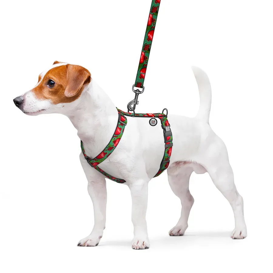 Шлея для собак анатомічна H-подібна «Гранати», S WAUDOG Nylon Anatomic Harness Pomegranates