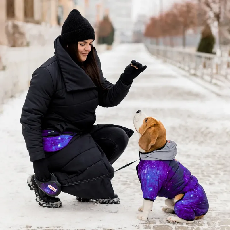 Комбинезон для собак «NASA21», M35 WAUDOG Clothes Dog Jumpsuit NASA21