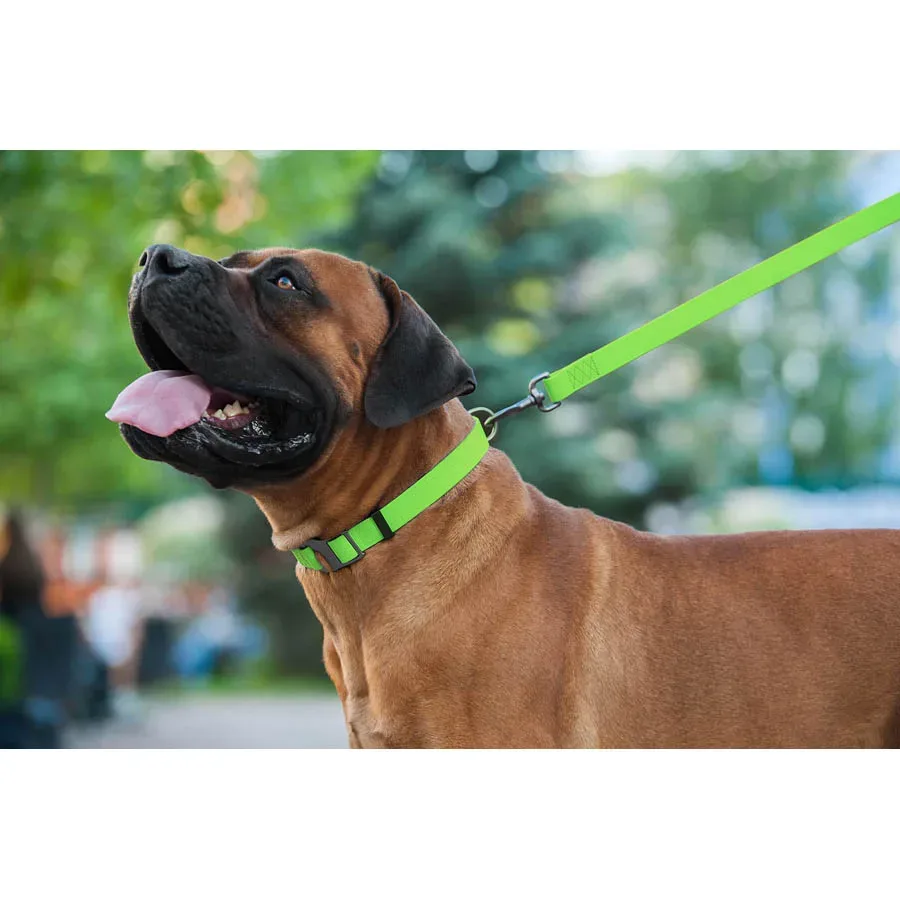 Поводок для собак водостойкий, 15 мм × 183 см, S, салатовый WAUDOG Waterproof Leash